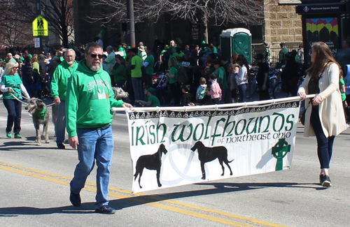 Irish Wolfhounds of NE Ohio